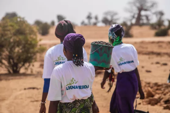 Local Communities